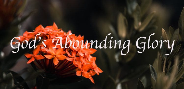 Begin your day right with Bro Andrews life-changing online daily devotional "God’s Abounding Glory" read and Explore God's potential in you